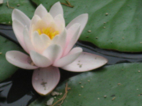 Наталия Мороз