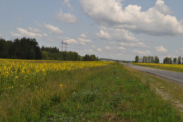 Марина Антимонова