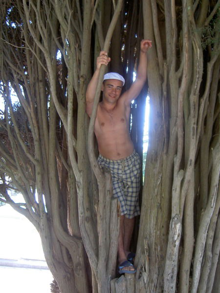 Алексей Миронов