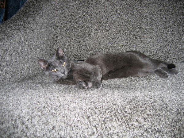 Татьяна Шадрина