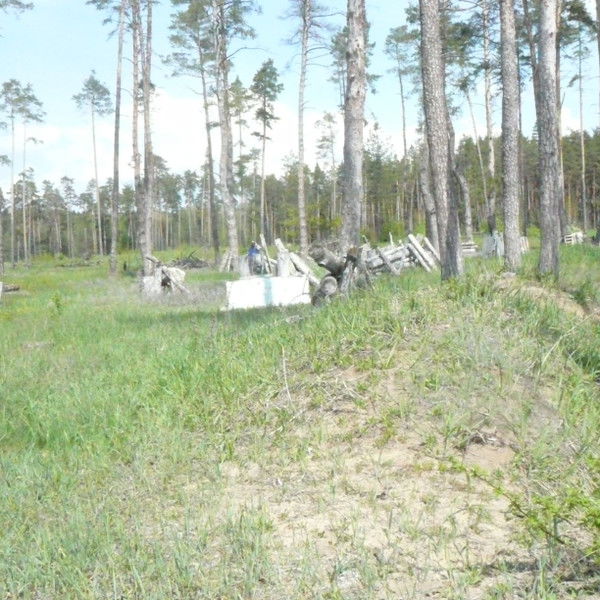 Светлана Ярославцева