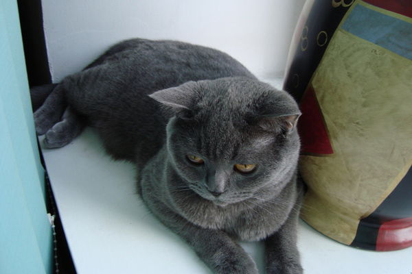 Надежда Назарова