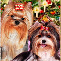 Марина Хаустова