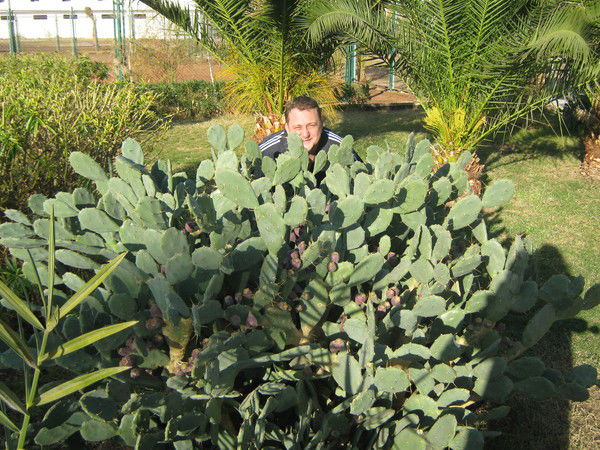 Виталий Попов