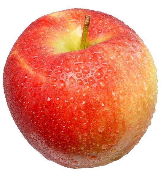 ....<Nohcho>.... .....