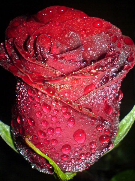 Асем Куатбекова