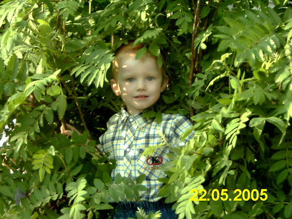 Никита Зимин