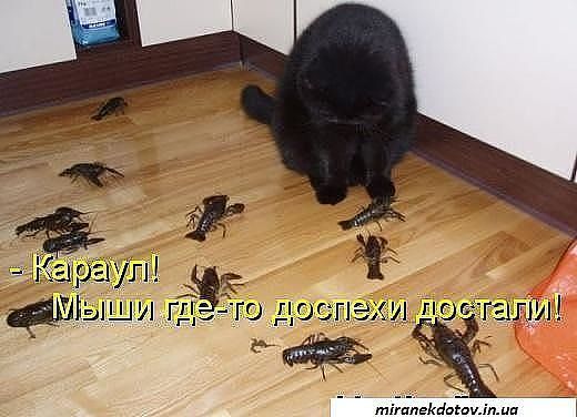 Никита Канчуров