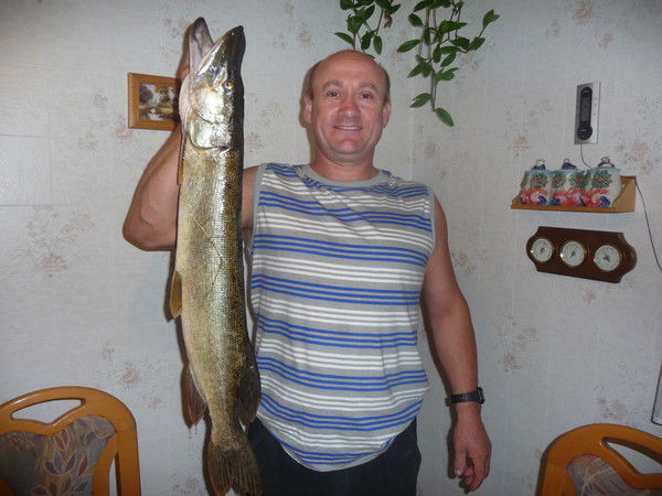 Александр Шваб