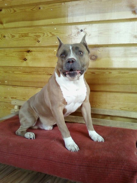 Игорь Константинов