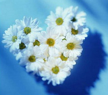 Ирина Срибяник