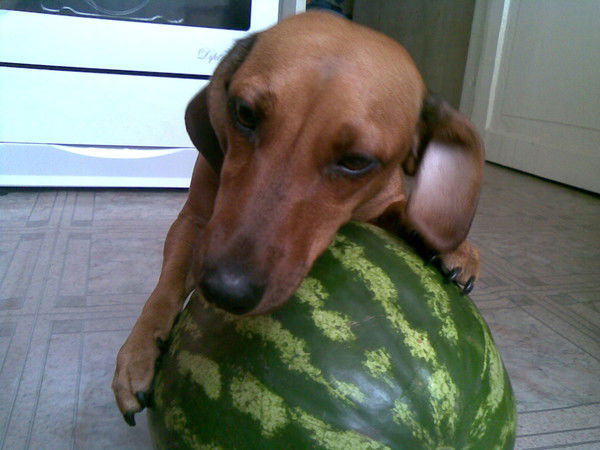 Павел Басов