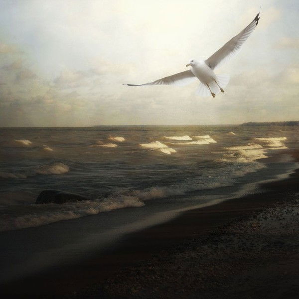 Ольга Фесенко