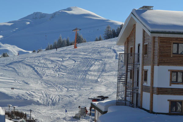 Наталья Зацепина