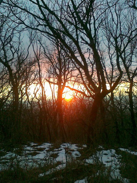 Cергей Бурлов