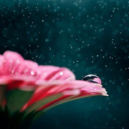 Арина Мазнина