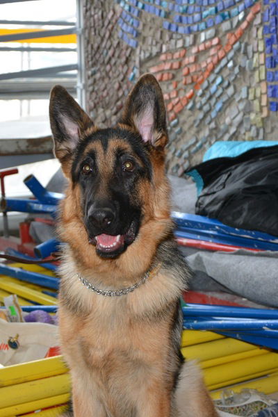 Александра Марченко