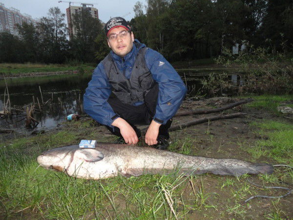 Григорий Кривченко