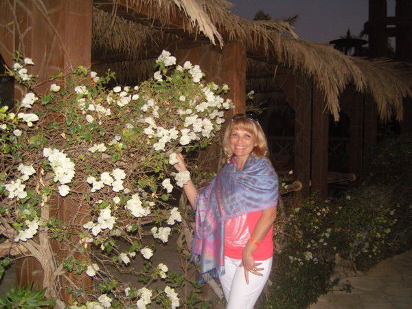 Елена Сибагатуллина