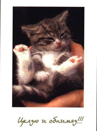 Ольга********** Палем