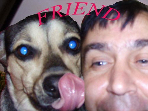 Сергей Лысенский