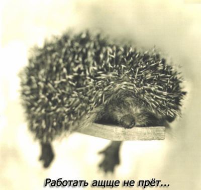 Сергей Вольхин