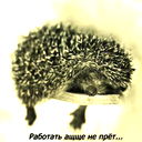 Сергей Вольхин