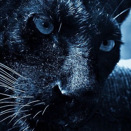 Павел Мельков