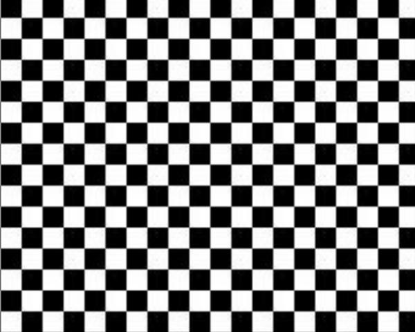 Катарина Тамарина