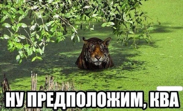 Нуржан Нурдаулетов