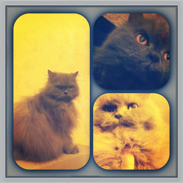 Люся Люсьевна