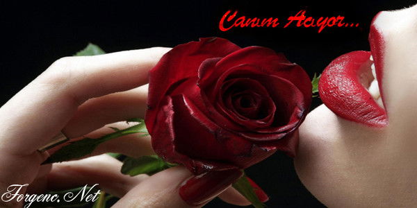 Настя Насибова