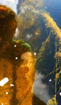 Игорь Краснов