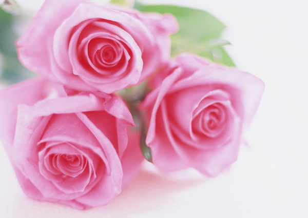 Наталья Добрынина