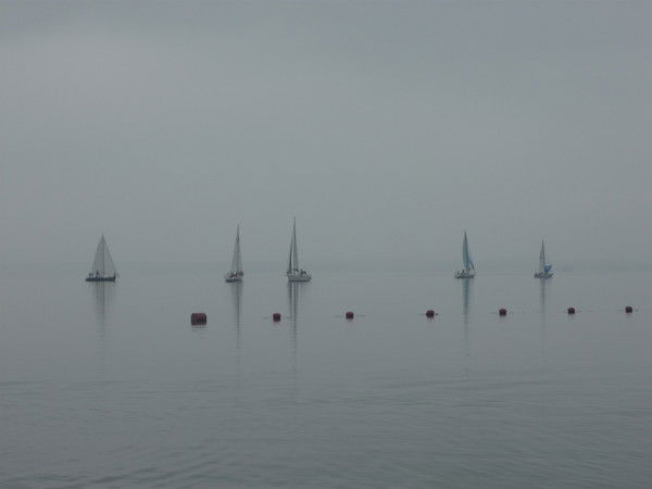 Лариса Худякова