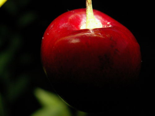 Юлия Перова