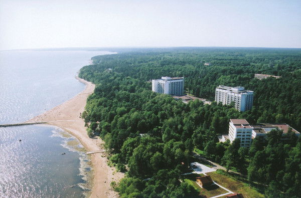 Ирина Кольцова