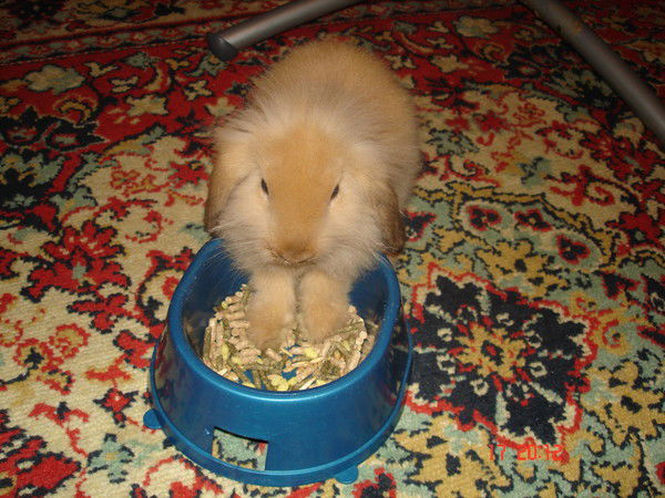 Юля Пудовикова