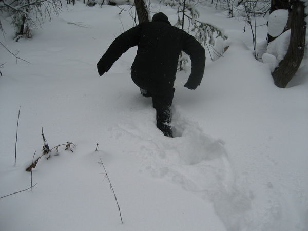 Илья Кузнецов