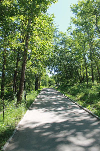 Алексей Кузьмичев