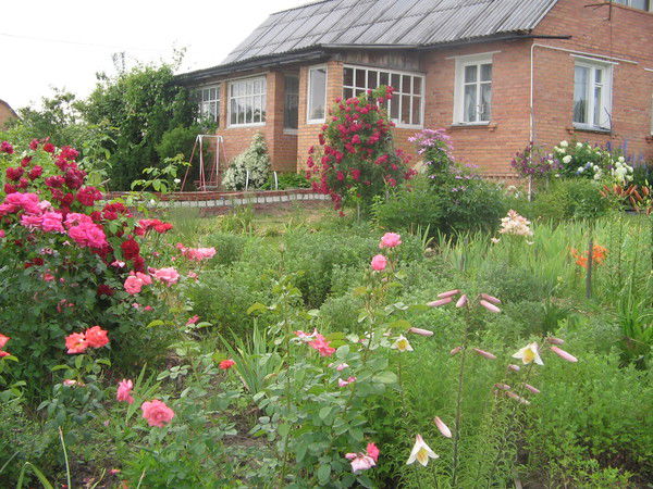 Тамара Репа (Чеснокова)