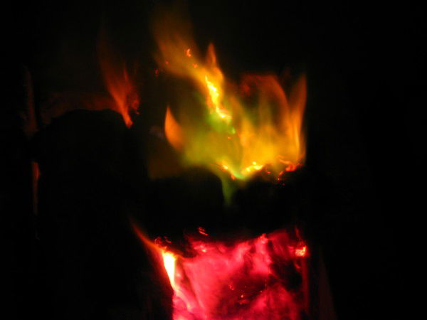 Ольга Щукина