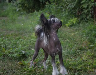 Милана Сапожникова