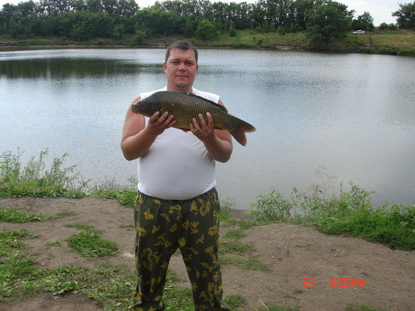 Вячеслав Романов