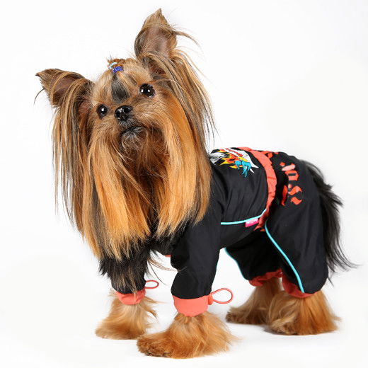 Екатерина Александрова