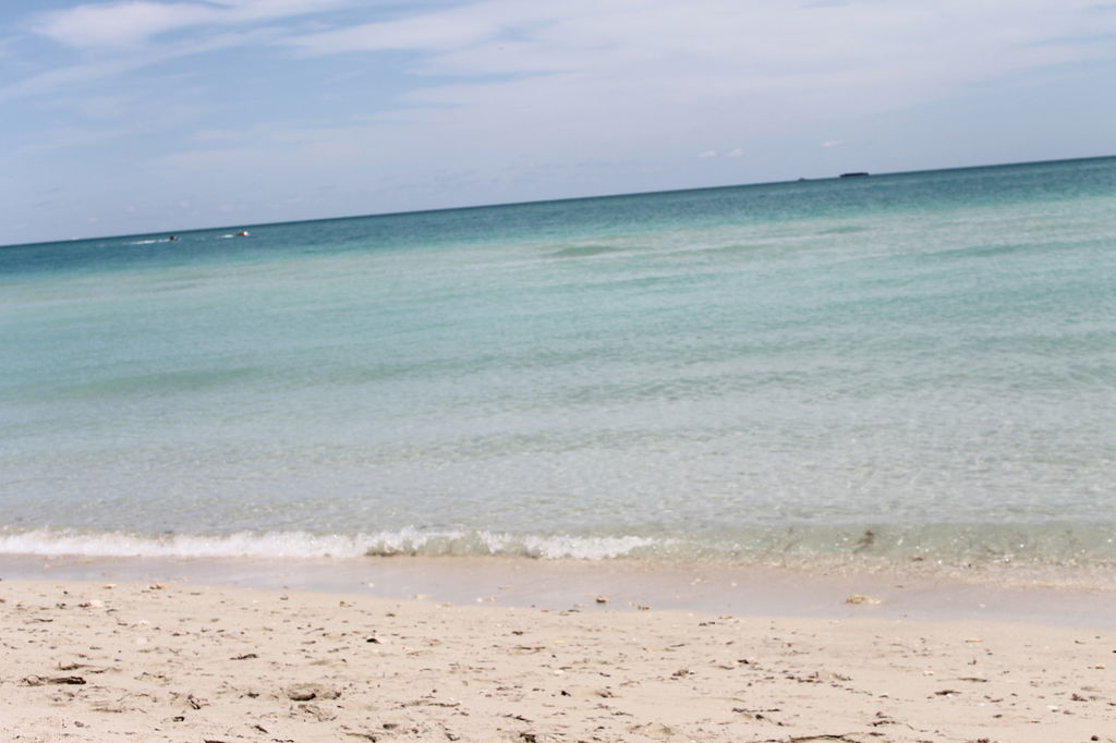 Мендыгереева Эльвира