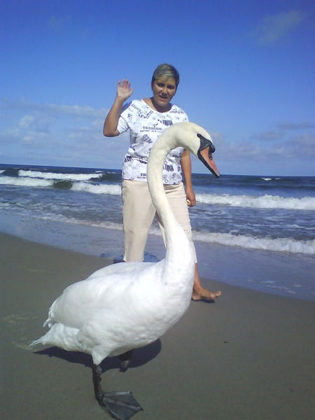 Наталья Жирова