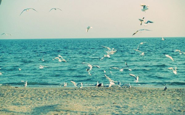 Евгения Мальгошева