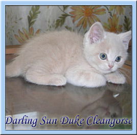 Елена Безуглова