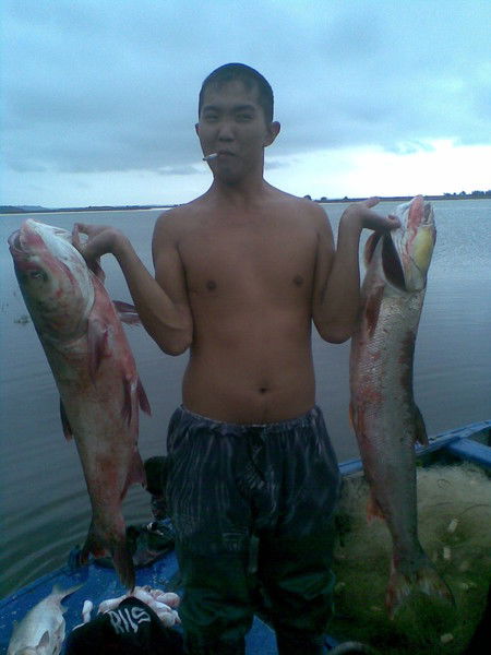 Николай Гаер